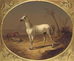 Theodor Horschelt A Grey Arabian Horse oil painting picture